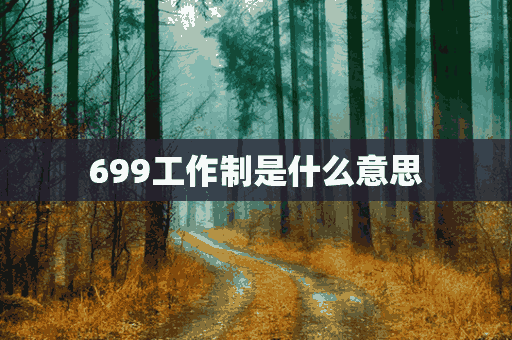 699工作制是什么意思